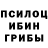 Псилоцибиновые грибы мицелий LenaDel RayLove